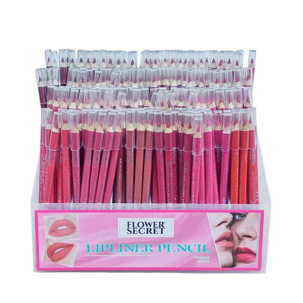 LÁPIZ DELINEADOR DE LABIOS SET DE 288 PCS
