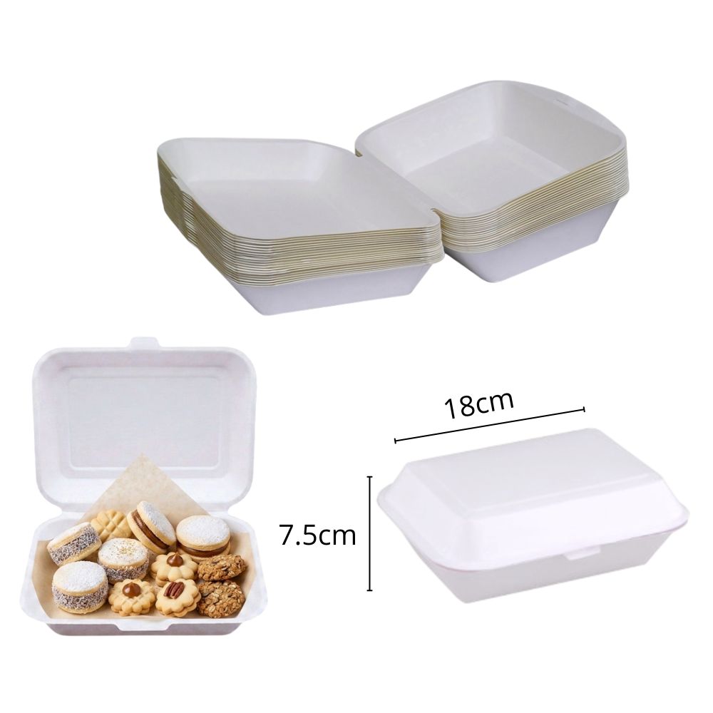 ENVASES DESCARTABLES